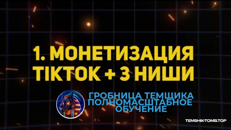 5,000$ НА НЕЙРОБЛОГАХ : ПОШАГОВЫЙ КУРС (Модуль №1)